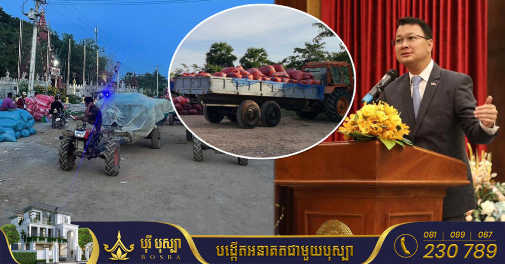 កសិករនៅខេត្តបាត់ដំបង និងខេត្តបន្ទាយមានជ័យ មានចិត្តសប្បាយរីករាយ ដែលបានសហការលក់ស្រូវទៅតាមតម្លៃដែលបានកំណត់