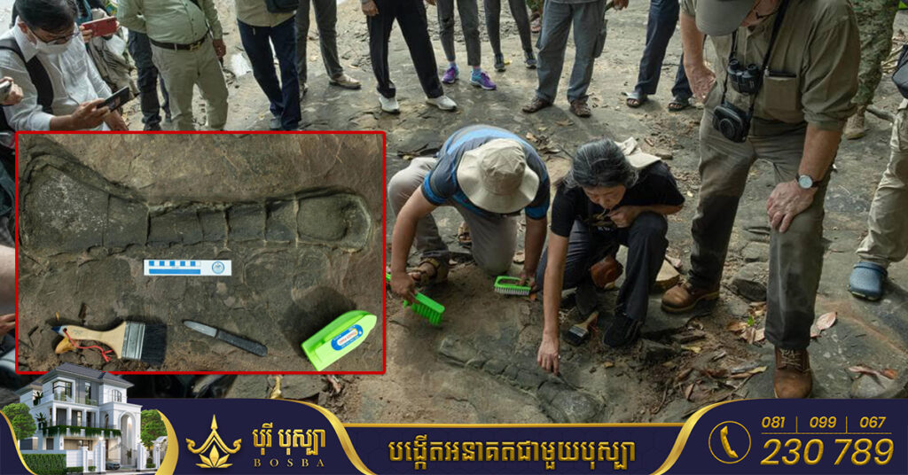 ផូស៊ីលឆ្អឹងដាយណូស័រដំបូងនៅកម្ពុជា ស្ថិតនៅក្នុងអម្បូរ Sauropod Dinosaur រកឃើញនៅខេត្តកោះកុង