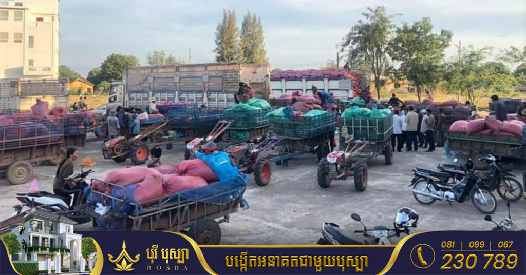 រាជរដ្ឋាភិបាល សម្រេចបញ្ចេញទុនបន្ថែម១០លានដុល្លារ សម្រាប់ការប្រមូលទិញស្រូវនៅកម្ពុជា