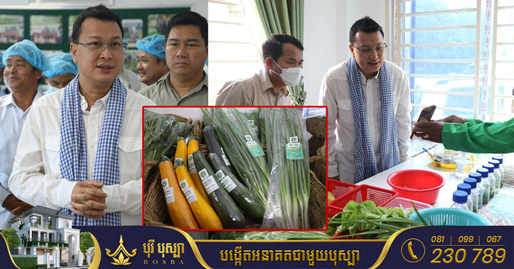 រដ្ឋមន្ត្រីក្រសួងកសិកម្ម រុក្ខាប្រម៉ាញ់ និងនេសាទ៖ ថ្ងៃអនាគតអាចនឹងជួយសាងសង់ផ្ទះសំណាញ់ជូនកសិករ ដើម្បីដាំបន្លែប្រកបដោយស្តង់ដា និងសុវត្ថិភាព