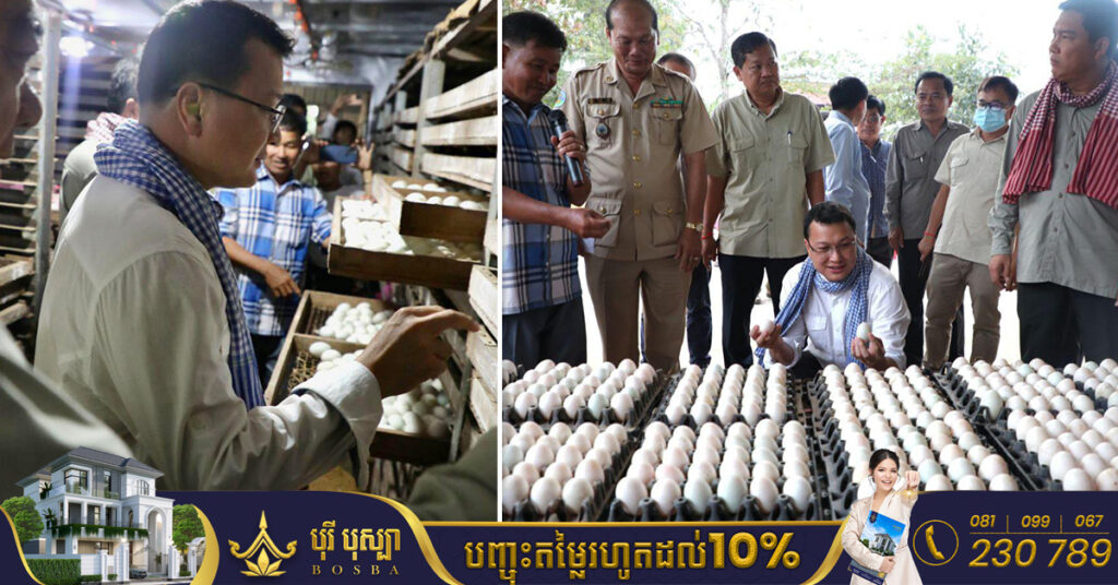 រដ្ឋមន្ត្រីក្រសួងកសិកម្ម ជំរុញឱ្យអ្នកប្រកបអាជីវកម្មភ្ញាស់ពងទាកូននៅស្រែរនោង ខិតខំស្វែងយល់បន្ថែមពីតម្រូវការទីផ្សារ និងអាចរក្សាបានទាំងគុណភាព ទាំងតម្លៃ