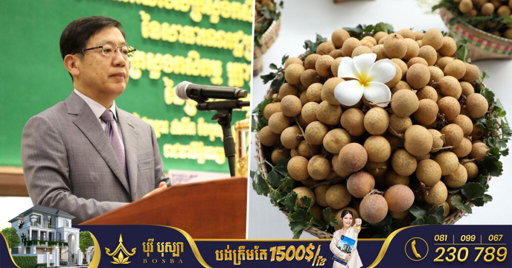 ឯកអគ្គរដ្ឋទូតចិន៖ ផ្លែម្រៀនស្រស់កម្ពុជាជិត៣ពាន់តោន ត្រូវបាននាំចេញទៅដល់ប្រទេសចិន