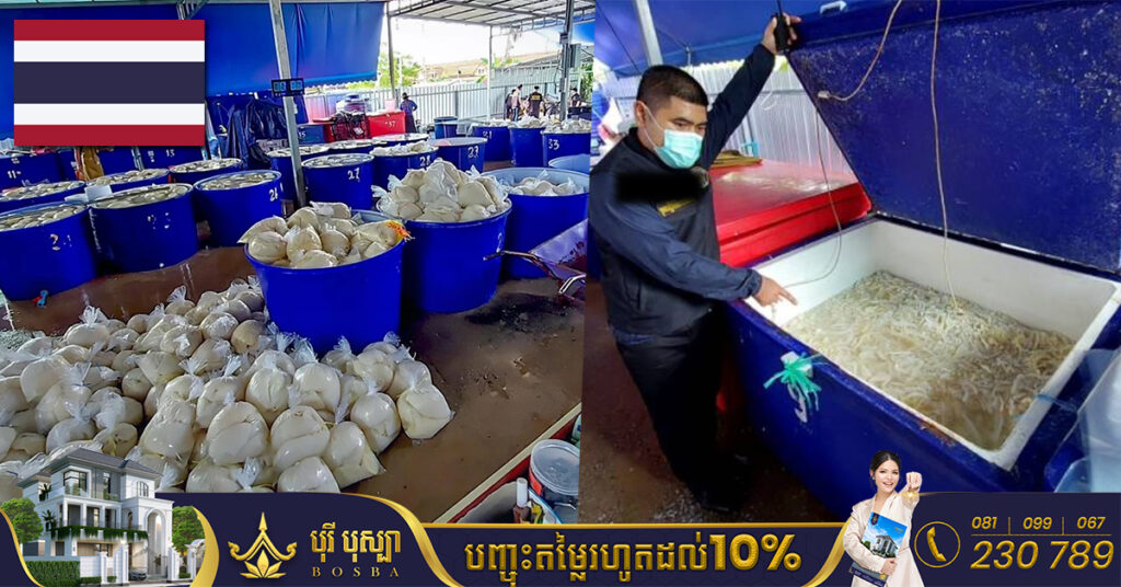 អាជ្ញាធរថៃ ចុះរឹបអូស សាច់កែច្នៃនិងគ្រឿងក្នុង ប្រមាណ២៥តោន ដែលដាក់ត្រាំសារធាតុហ្វ័រម៉ាលីន ហើយត្រៀមយកទៅចែកចាយនៅហាង BBQ រាប់សិបកន្លែង