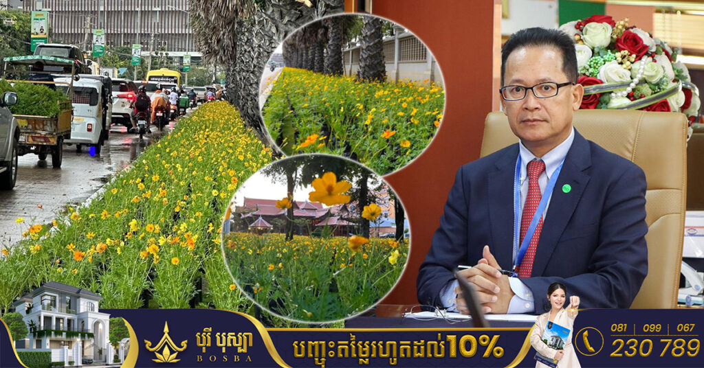 លោក អ៊ាង សុផល្លែត ប្រកាសផ្តល់ផ្កាស្បៃរឿង ជូនអ្នកមានបំណងយក ទៅដាំលំអរលំនៅឋាន និងទីតាំងនានា