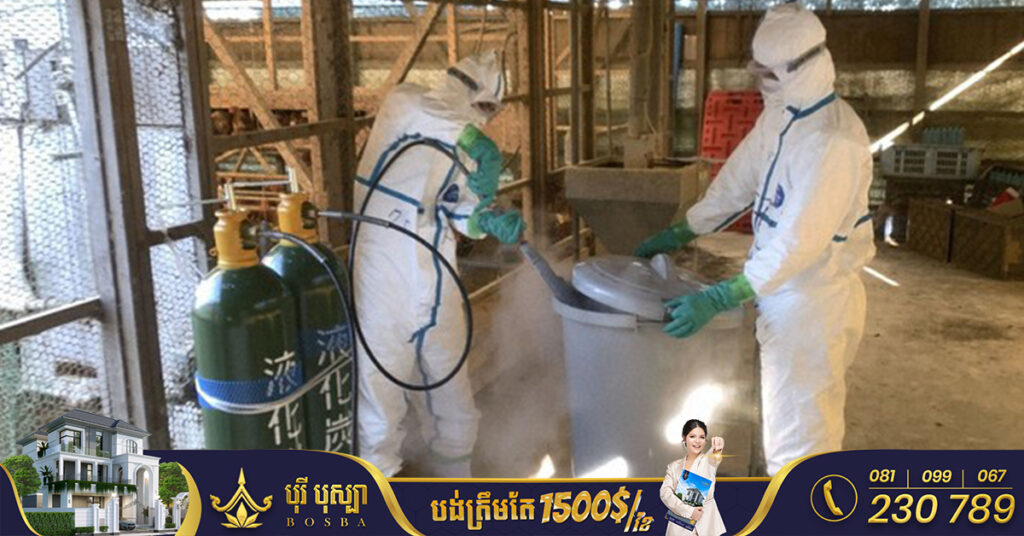 ប្រទេស​ជប៉ុនបានមើលឃើញពីការកើនឡើងខ្ពស់នៃករណី​ជំងឺ​ផ្ដាសាយ​បក្សី​នៅក្នុងរដូវរងាឆ្នាំនេះ