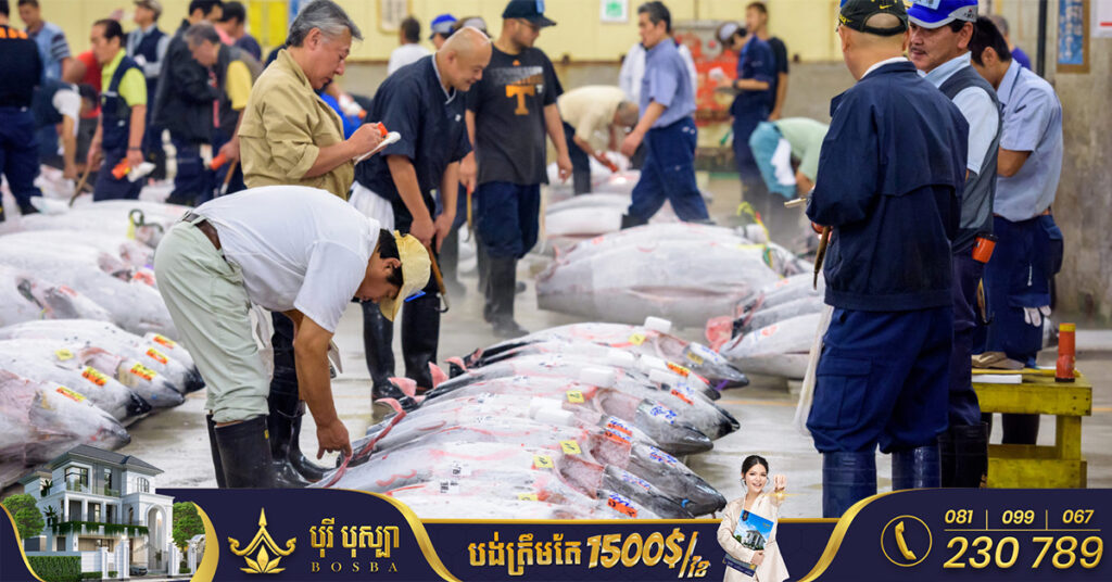 ត្រីធូណាមួយក្បាល ត្រូវបានលក់ចេញក្នុងតម្លៃ ២៧០,០០០ដុល្លារអាមេរិក នៅក្នុងការដេញថ្លៃបែបប្រពៃណីមួយរបស់ទីក្រុងតូក្យូ