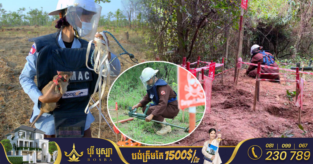 BREAKING: អ៊ុយក្រែនបញ្ជូនមន្ត្រីមកសិក្សាជំនាញបោសសំអាតគ្រាប់មីន និងយុទ្ធភណ្ឌមិនទាន់ផ្ទុះពីកម្ពុជា