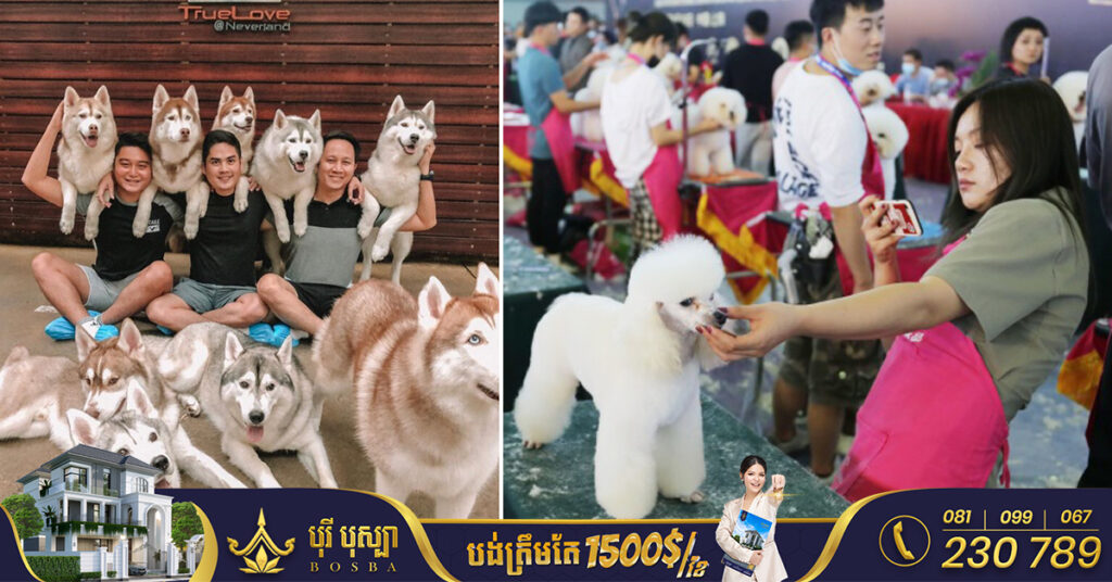 ឧស្សាហកម្មសត្វចិញ្ចឹមនៅថៃកំពុងឡើងកូដខ្លាំង ខណៈប្រជាជនជិត ៥០% ចូលចិត្តចិញ្ចឹមសត្វជាងការមានកូន