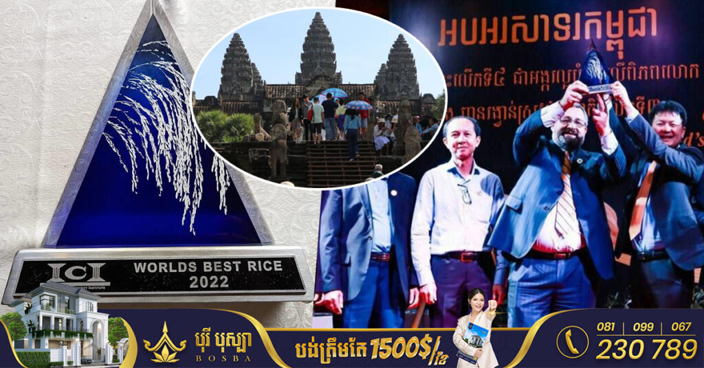 បុណ្យអង្ករជាលើកទី១ គ្រោងនឹងរៀបចំនៅខេត្តសៀមរាប នាចុងខែមករា ឆ្នាំ២០២៣នេះ