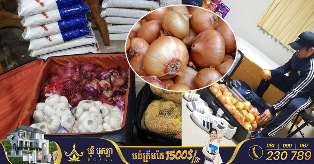 ប្រជាជនហ្វីលីពីន ដែលធ្វើការនៅក្រៅប្រទេសនាំគ្នាទិញខ្ទឹមបារាំងផ្ញើអ្នកផ្ទះ​រាប់គីឡូ ដោយសារនៅហ្វីលីពីន ខ្ទឹមបារាំងមានតម្លៃថ្លៃជាងសាច់ទៅទៀត