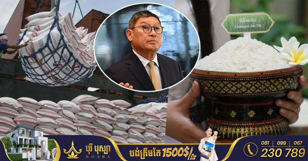 កម្ពុជាលើកទឹកចិត្តវិនិយោគិនម៉ាល់ឌីវ មកបណ្តាក់ទុនលើវិស័យស្រូវអង្ករ