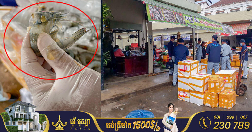 មន្ត្រីជំនាញ រកឃើញបង្គាចាក់ចាហួយប្រមាណជិត ២០០គីឡូក្រាម នៅម្តុំត្រឡោកបែក