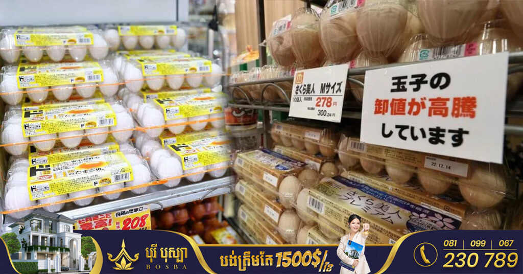 តម្លៃ​ស៊ុត​នៅ​ជប៉ុនហក់ឡើង​ខ្ពស់ជាងមុនជាង ២ដង ចំពេល​មាន​ការ​ផ្ទុះ​ជំងឺ​ផ្ដាសាយ​បក្សីនៅទូទាំងប្រទេស