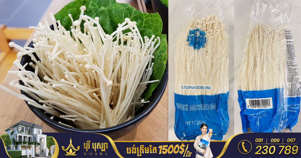 មជ្ឈមណ្ឌល​ត្រួតពិនិត្យជំងឺឆ្លងអាមេរិក ព្រមានពីការបរិភោគផ្សិតម្ជុល ដែលអាចនាំឱ្យមានជំងឺធ្ងន់ធ្ងរ បាត់បង់ការមានគភ៌ ឬឈានដល់ការបាត់បង់ជីវិត