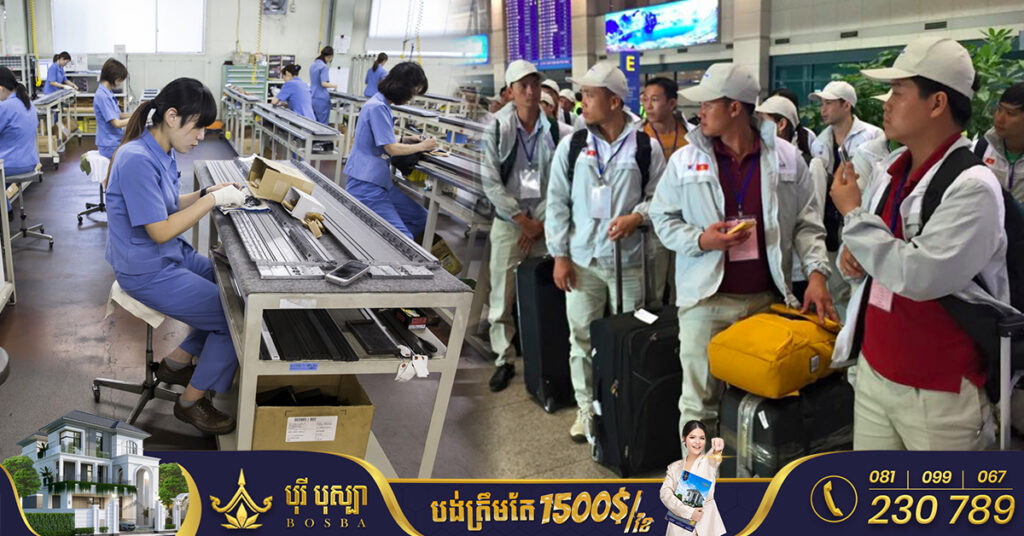 ក្នុងចំណោមពលករបរទេសធ្វើការនៅជប៉ុនជិត ២លាននាក់ ប្រជាជននៅប្រទេសអាស៊ានមួយនេះមានចំនួនច្រើនជាងគេ