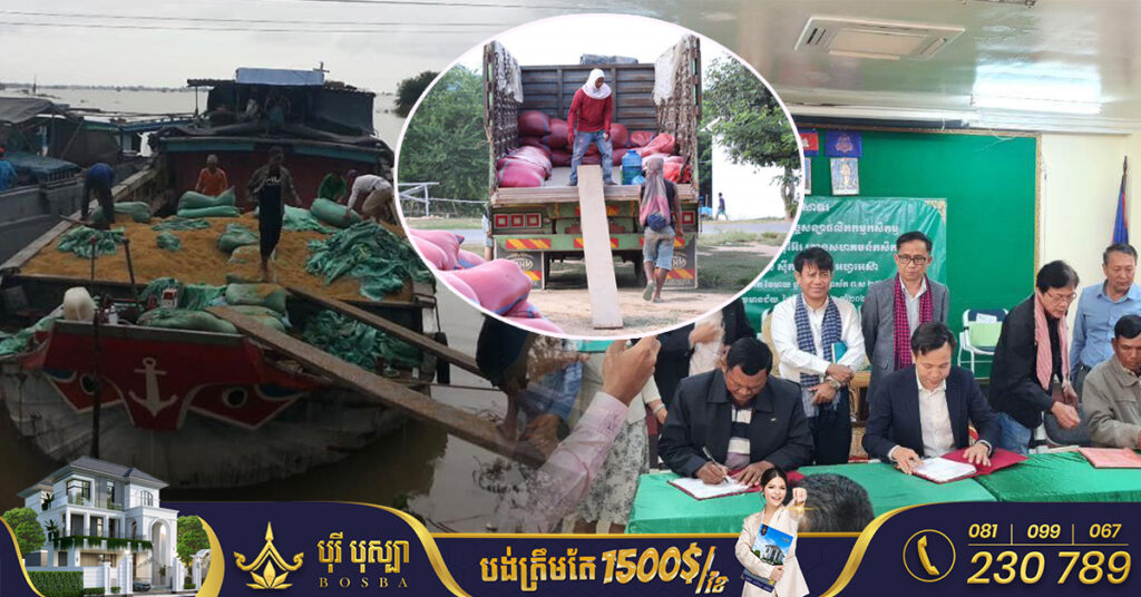 សហគមន៍កសិកម្មផលិតស្រូវចំនួន៦ នៅខេត្តបន្ទាយមានជ័យ ចុះកិច្ចសន្យាកសិកម្មជាមួយក្រុមហ៊ុននាំចេញ លើបរិមាណស្រូវ ៨ ៥៣៣តោន ផ្ទៃដី ១៧៨០ហិកតា