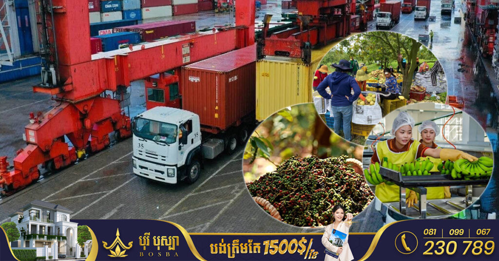 កម្ពុជានាំចេញផលិតផលកសិកម្មជាង ៨លានតោន នៅរយៈពេល១១ខែ ឆ្នាំ២០២២