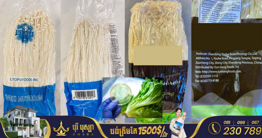 ក្រៅពីផ្សិតម្ជុល​ មេរោគListeria ក៏អាចមានក្នុងបន្លែផ្សេងទៀតផងដែរ, តើគួរធ្វើយ៉ាងណាដើម្បីការពារមិនឱ្យឆ្លងមេរោគនេះ?