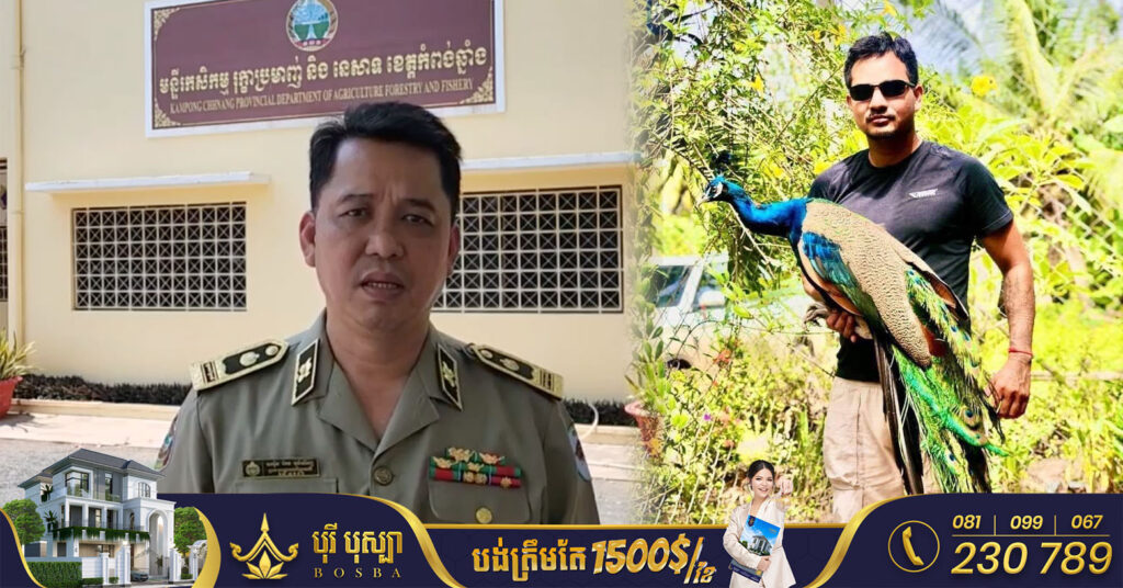 ប្រធានរដ្ឋបាលព្រៃឈើ ចេញវីដេអូបកស្រាយ ជុំវិញការចុះហាមឃាត់ និងចាប់សត្វក្ងោក នៅខេត្តកំពង់ឆ្នាំង (Video inside)