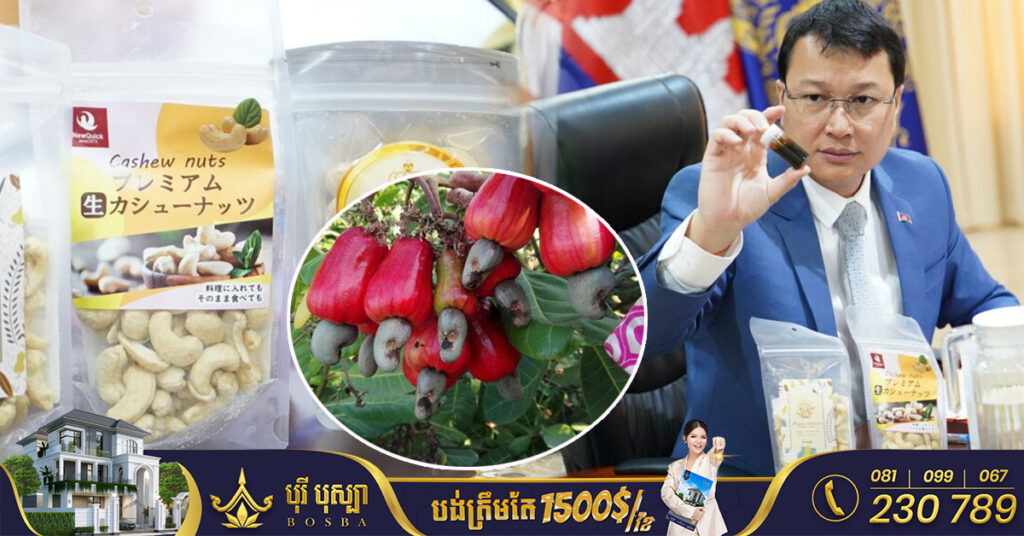 រដ្ឋមន្ត្រីក្រសួងកសិកម្ម ស្វាគមន៍ក្រុមហ៊ុនជប៉ុន បង្កើតរោងចក្រកែច្នៃគ្រាប់ស្វាយចន្ទី ទៅកាន់ទីផ្សារពិភពលោក និងសម្បកគ្រាប់ស្វាយចន្ទីទៅជាប្រេងឥន្ធនៈ