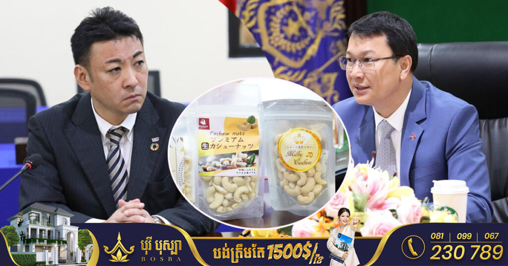 កម្ពុជារំពឹងខ្ពស់ថា​ជប៉ុននឹងបើករោងចក្រកែច្នៃគ្រាប់ស្វាយចន្ទី សម្រាប់នាំចេញទៅកាន់ទីផ្សារអន្តរជាតិ