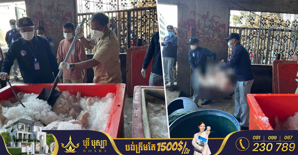 សាច់ជ្រូក និងសរីរាង្គជ្រូកបង្កក មានផ្ទុកជំងឺប៉េស្រ្តអាហ្វ្រិក (ASFV) ជិត២តោន ត្រូវបានមន្ត្រីជំនាញនាំយកទៅបំផ្លាញចោល បន្ទាប់ពីបង្ក្រាបបាន