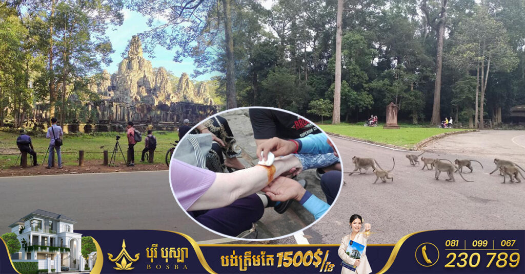 អាជ្ញាធរជាតិអប្សរា អំពាវនាវដល់ភ្ញៀវទេសចរ ប្រុងប្រយ័ត្នចំពោះសត្វស្វានៅតំបន់អង្គរ ដែលអាចបង្កបញ្ហាផ្សេងៗ