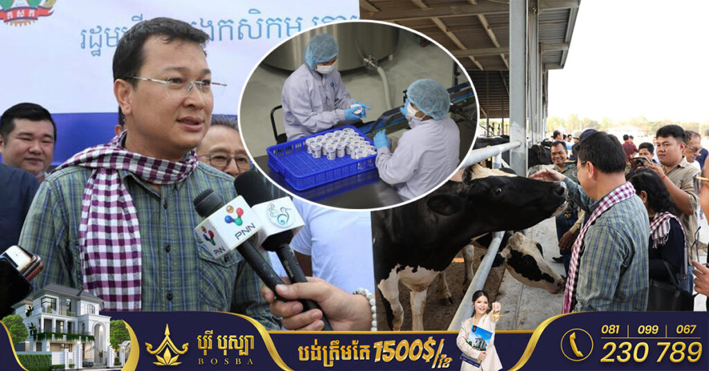 រដ្ឋមន្ត្រីកសិកម្ម លើកទឹកចិត្តឱ្យកសិករនៅតំបន់ជិតកសិដ្ឋានចិញ្ចឹមគោយកទឹកដោះគិរីសួគ៌ ដាំស្មៅលក់ឱ្យកសិដ្ឋាន