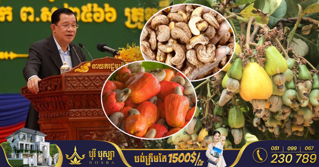 សម្តេចតេជោ ហ៊ុន សែន៖ រាជរដ្ឋាភិបាល ចង់ប្រែក្លាយកម្ពុជា ទៅជាប្រទេសកែច្នៃ និងនាំចេញគ្រាប់ស្វាយចន្ទីដ៏ខ្លាំងក្លាមួយ