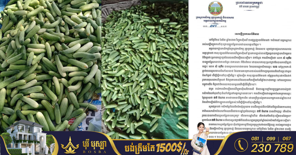 ក្រសួងកសិកម្ម​ ចេញសេចក្តីប្រកាសព័ត៌មាន ក្រោយមានការផ្សព្វផ្សាយថា «កសិករនៅខេត្តកណ្ដាលអស់សង្ឃឹម ក្នុងការដាំដុះក្រោយភ្ជួរបន្លែចោលដោយសារគ្មានទីផ្សារ»