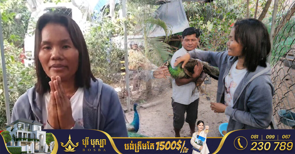 ម្ចាស់ក្ងោកបង្ហាញអារម្មណ៍រីករាយ​ និងគោរពអរគុណសម្តេចតេជោ