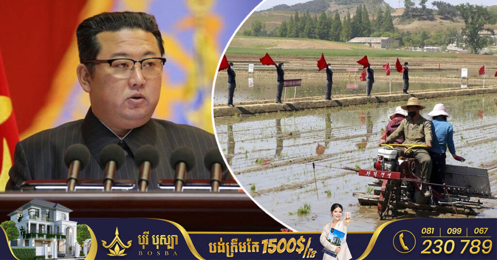 លោក គីម ជុងអ៊ុន៖ «កូរ៉េខាងជើង ត្រូវតែសម្រេចគោលដៅបង្កើនផលិតភាពកសិកម្ម ដោយគ្មានការបរាជ័យ»