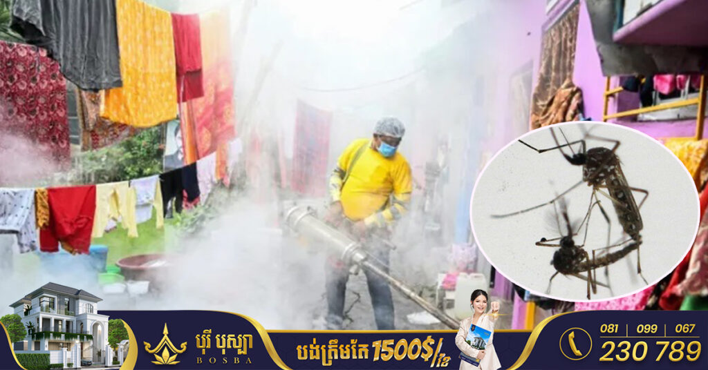 ថ្នាំសម្រាប់ព្យាបាលនិងការពារជំងឺគ្រុនឈាមត្រូវបានគេធ្វើតេស្តសាកល្បងក្នុងខ្លួនសត្វស្វាប្រកបដោយជោគជ័យ