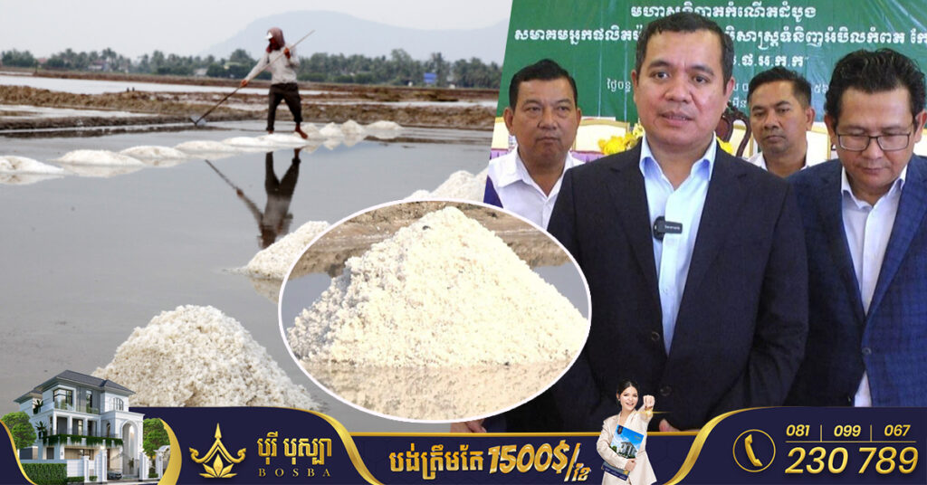 ក្រសួងពាណិជ្ជកម្មកំពុងពន្លឿន ការចុះបញ្ជីអំបិលកំពត-កែប ជាម៉ាកសម្គាល់ភូមិសាស្ត្រទំនិញ