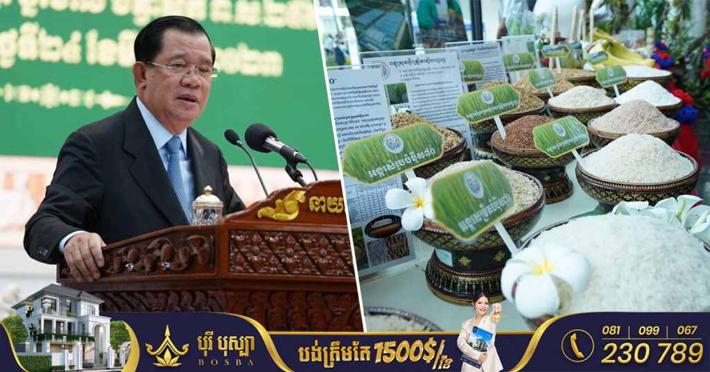 សម្តេចតេជោ ហ៊ុន សែន សម្ដែងការកោតសរសើរ ចំពោះរបកគំហើញពូជស្រូវថ្មី «ចំប៉ីស៧០» និង «កង្រី»