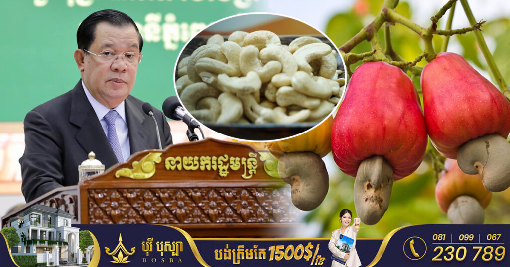 សម្តេចតេជោ ហ៊ុន សែន ណែនាំឱ្យក្រសួងសេដ្ឋកិច្ច ពិនិត្យបន្ថែមទុនសម្រាប់កែច្នៃគ្រាប់ស្វាយចន្ទី ដើម្បីប្រែក្លាយកម្ពុជាទៅជាអធិរាជនាំចេញនាពេលអនាគត