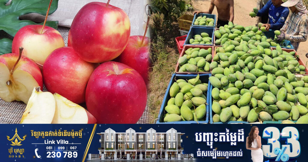 មន្ត្រីកម្ពុជា-បារាំង ស្វែងយល់ពីលក្ខខណ្ឌអនាម័យនៃការនាំចូលផ្លែប៉ោម និងការនាំចេញផ្លែស្វាយ