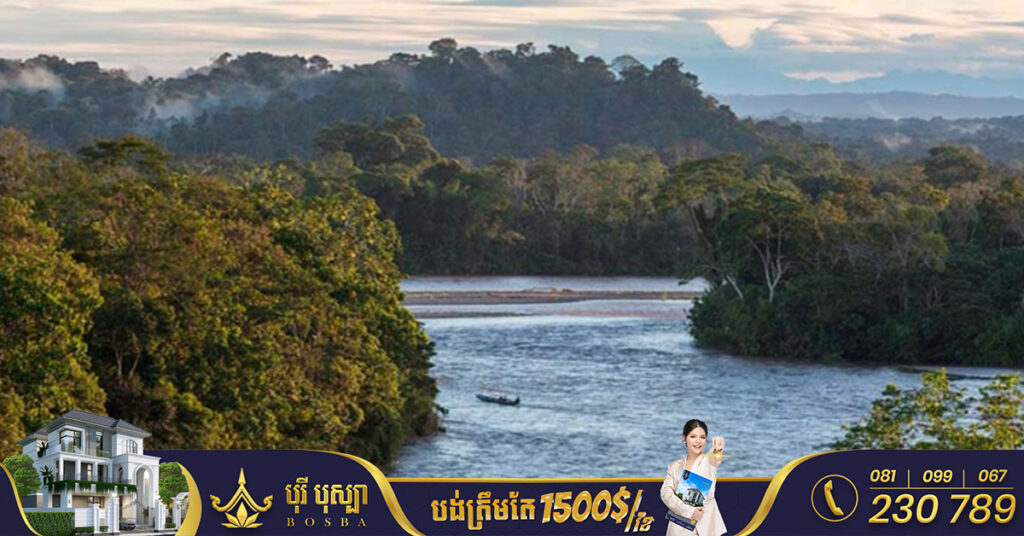 ការសិក្សាមួយបានបង្ហាញថា ព្រៃ Amazon បានជួយសន្សំសំចៃប្រាក់លើការព្យាបាលសុខភាពរបស់ពលរដ្ឋបានប្រមាណជា ២ពាន់លានដុល្លារនៅក្នុងមួយឆ្នាំ