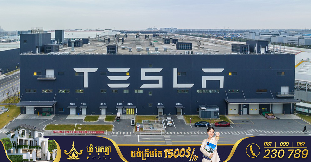 Tesla នឹងចាប់ផ្តើមសាងសង់រោងចក្រអាគុយ Megapack ថ្មីក្នុង​ទីក្រុង​សៀងហៃ