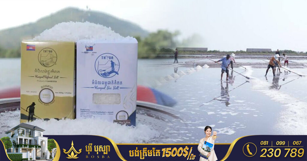 នៅឆ្នាំ២០២៣ ទិន្នផលអំបិលមានការធ្លាក់ចុះដោយសារអាកាសធាតុមិនសូវអំណោយផល