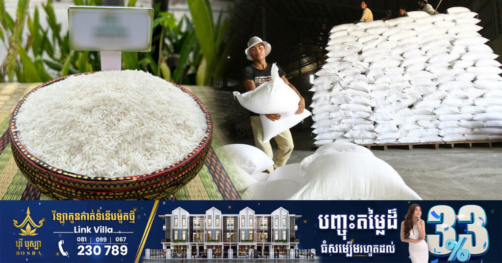 កម្ពុជារកចំណូលជាង ៥០០លានដុល្លារ ពីការនាំចេញអង្ករ និងស្រូវនៅត្រីមាសទី១ ឆ្នាំនេះ