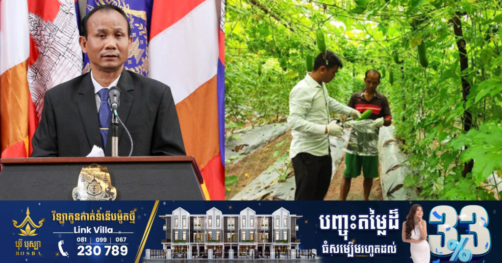 ខេត្តស្ទឹងត្រែងទទួលបាន ចំណូលពីវិស័យកសិកម្មប្រមាណ៨០០លានដុល្លារចាក់បញ្ចូលក្នុងសេដ្ឋកិច្ចខេត្ត ក្នុងរយៈពេល៥ឆ្នាំនេះ