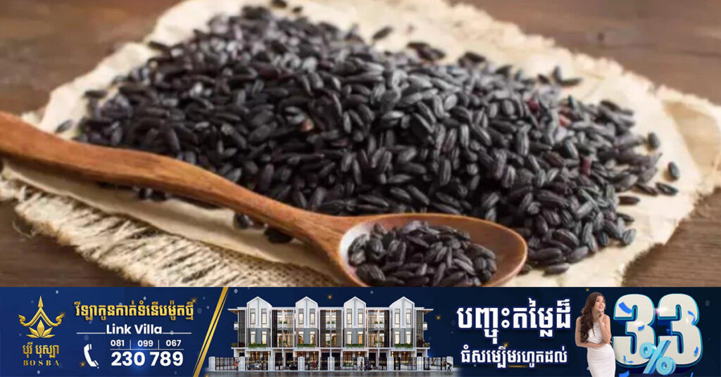 នេប៉ាល់ នឹងប្រគល់ពូជស្រូវ «កាឡានាម៉ាក់» ជាអង្ករសំខាន់សម័យ​ពុទ្ធកាល ទុកជាអំណោយសម្រាប់កម្ពុជា