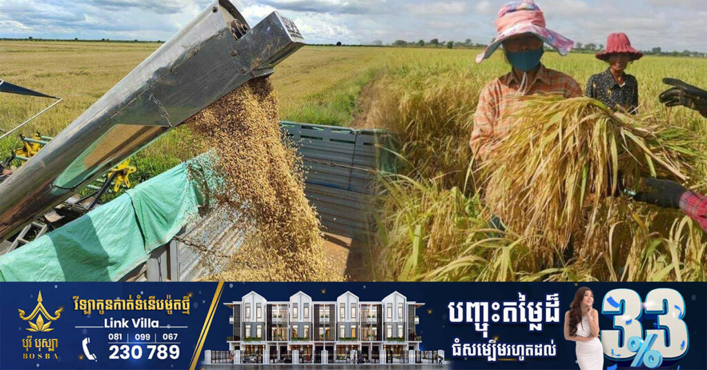 ប្រធានមន្ទីរកសិកម្មខេត្តកំពង់ធំ លើកឡើងថា ដំណាំស្រូវក្រៅពីផ្គត់ផ្គង់ក្នុងខេត្តហើយ នៅសល់ស្រូវជាង ៦៨ម៉ឺនតោន សម្រាប់នាំចេញទៅក្រៅប្រទេស