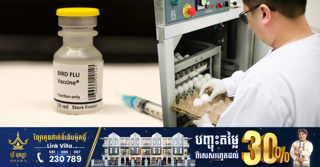 ជប៉ុន​នឹងចាប់ផ្ដើម​ស្តុក​ថ្នាំ​បង្ការ​ជំងឺ​ផ្តាសាយ​បក្សី H5N1 សម្រាប់មនុស្ស ១០ លាននាក់
