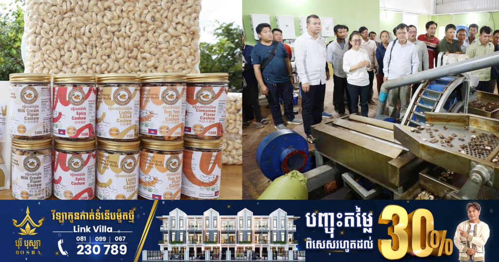 មេ ARDB ស្នើឲ្យកសិករដាំស្វាយចន្ទី គិតគូរចុះកិច្ចសន្យាកសិកម្មជាមួយក្រុមហ៊ុនទទួលទិញ ដើម្បីធានាស្ថិរភាពថ្លៃ បើត្រូវការឥណទាន ធនាគារទម្លាក់ជូនក្នុងអត្រាការប្រាក់ទាប