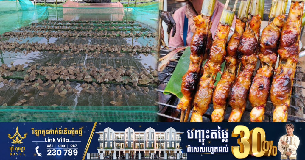 ម្ចាស់កសិដ្ឋានចិញ្ចឹមកង្កែបនៅខេត្តព្រៃវែង​ ត្អូញពីបញ្ហាកង្កែបចុះថោក, ប្រធានមន្ទីរកសិកម្ម ជំរុញឱ្យកសិករទាក់ទងជំនាញ ដើម្បីរកដំណោះស្រាយ