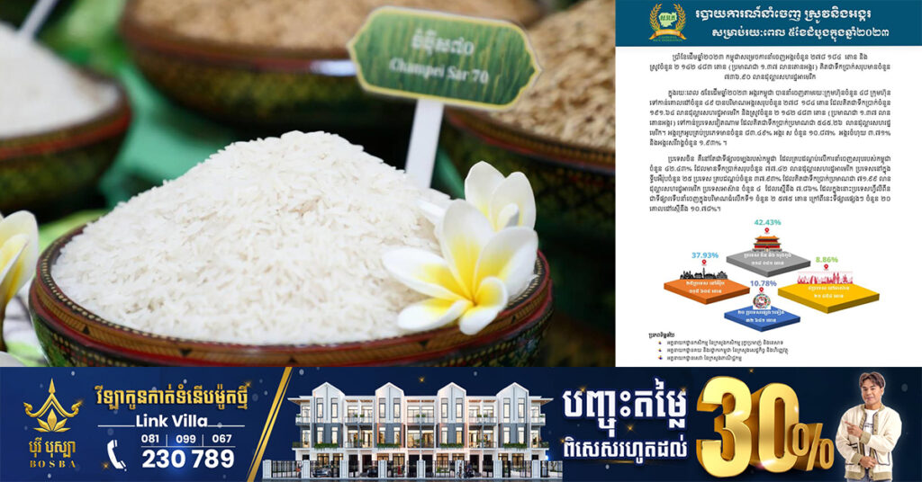 កម្ពុជានាំចេញអង្ករជិត២៨ម៉ឺនតោន និងស្រូវជាង ២លានតោន ទទួលបានចំណូល ៧៣៦លានដុល្លារ នៅ៥ខែដើមឆ្នាំនេះ