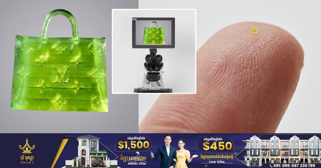 កាបូបមើលស្ទើរតែមិនឃើញនឹងភ្នែកមួយនេះ ត្រូវបានគេលក់ចេញនៅក្នុងតម្លៃ ៦៣,៧៥០ ដុល្លារអាមេរិក