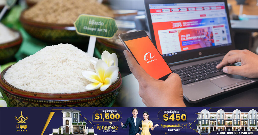 កម្ពុជាកំពុងរកមធ្យោបាយពង្រីកការនាំចេញអង្ករទៅចិន តាមរយៈការលក់អង្ករនៅលើទីផ្សារអនឡាញ Alibaba